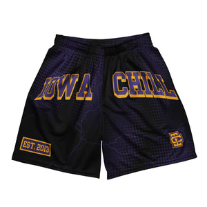 Purple/Gold Basketball Shorts