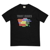 Iowa Trust Issues Comfort T Shirt